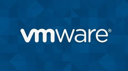 VMware發(fā)布vSphere與vSAN應(yīng)用軟件服務(wù)，以集中式基礎(chǔ)架構(gòu)管理簡化運營